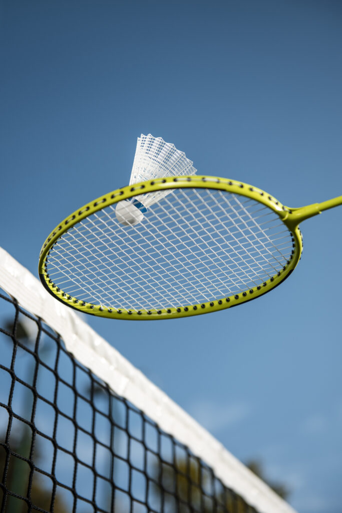 Lust auf Badminton ?